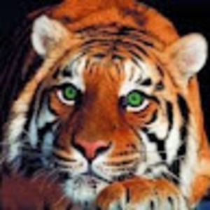 Meet your Posher, Tyler